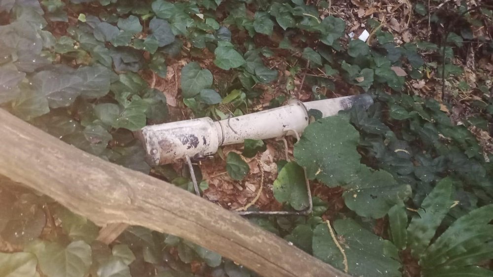 Sakarya Hendek’teki orman yangınının sebebi belli oldu