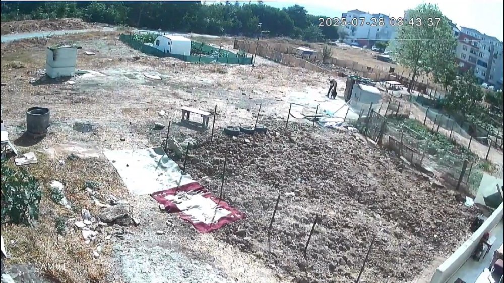 Köpek işkenceyle öldürüldü iddiası!