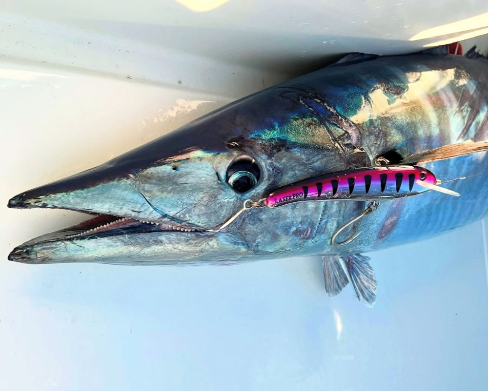 Akdeniz tropikalleşiyor... Sayı 72'ye ulaştı