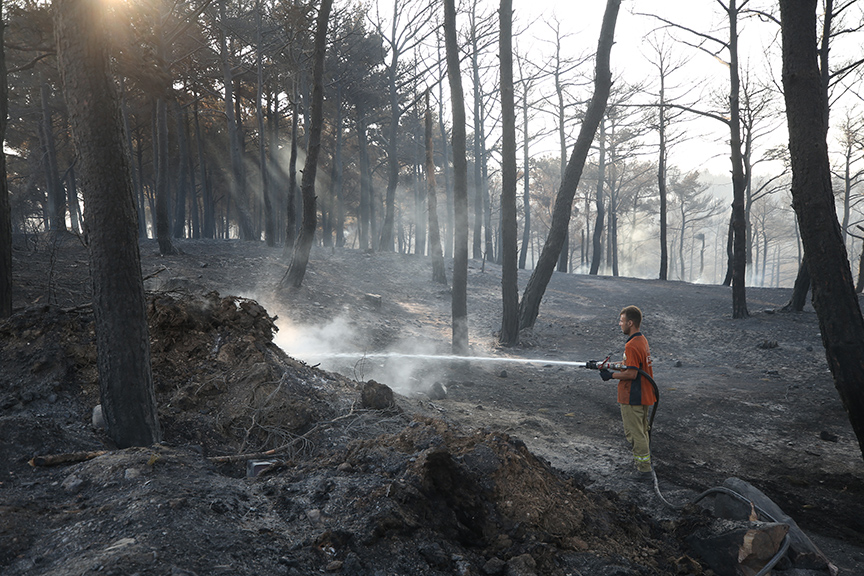 anakkale-merkez-ve-bayramicteki-yanginlar-buyuk-olcude-kontrol-altina-alindi.jpg