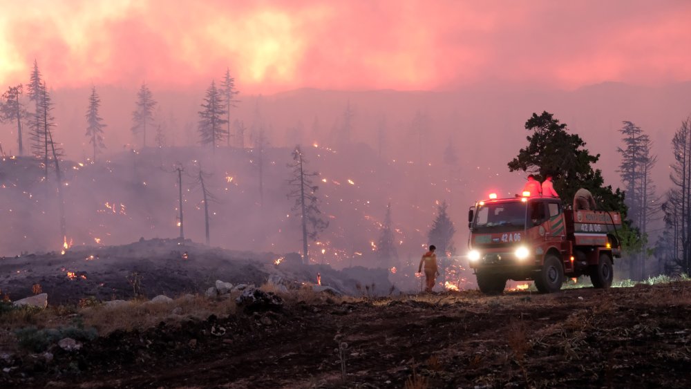 Karaman'daki orman yangını kontrol altında