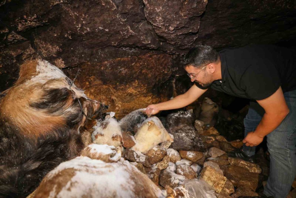 Konya'nın eşsiz lezzeti mağaran çıkmak için gün sayıyor