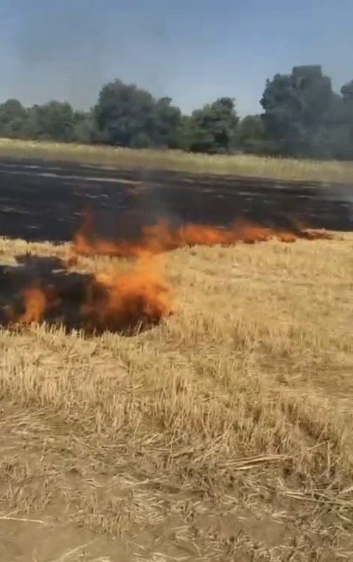 Konya'da anız yangınları korkuttu