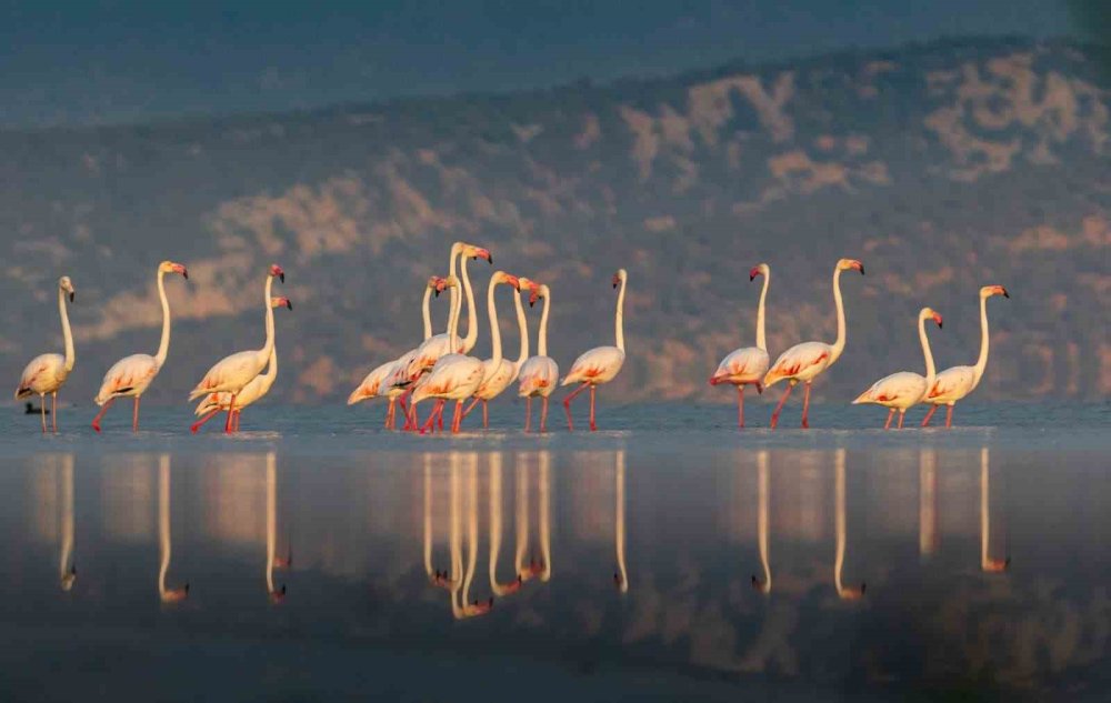 Konya'daki mali müşavir makinesini yanından ayırmıyor