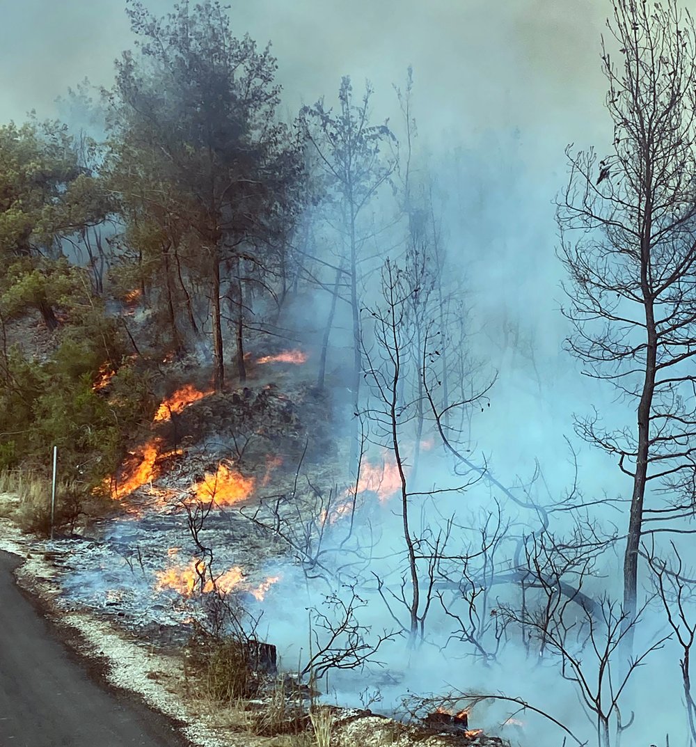 Adana'daki orman yangını kontrol altında