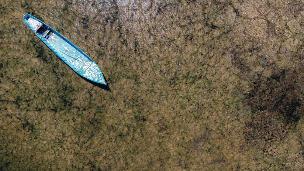 'Beyşehir Gölü vefat etti'