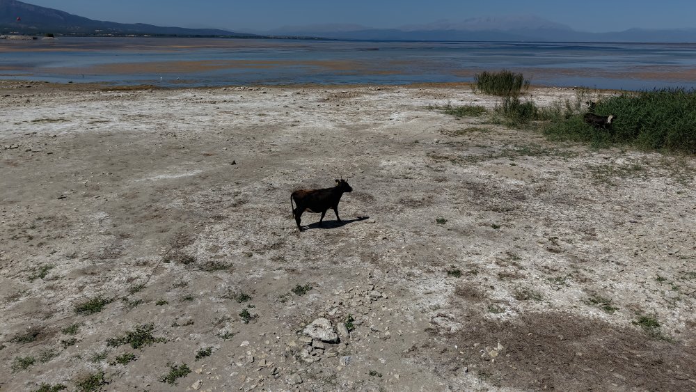 'Beyşehir Gölü vefat etti'