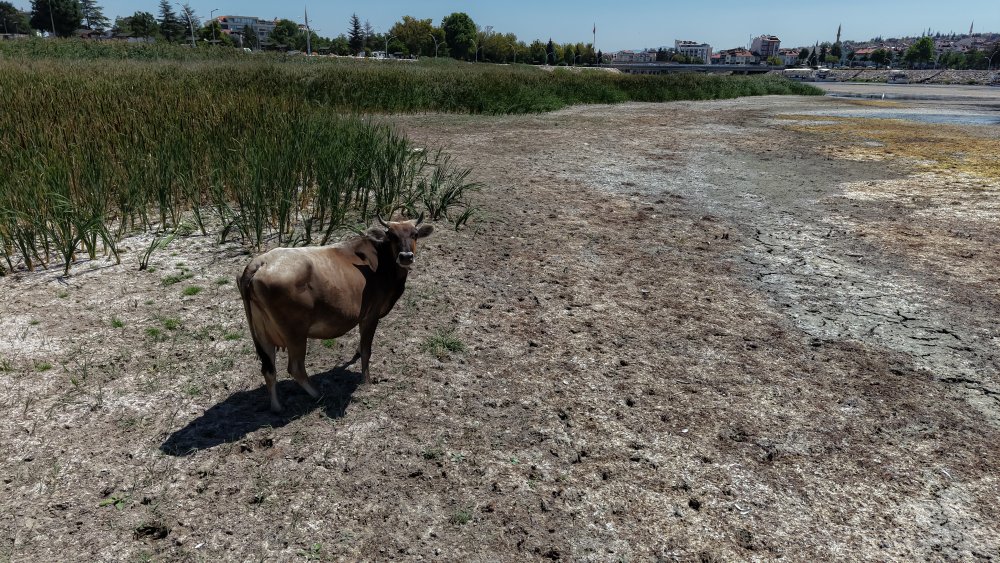 'Beyşehir Gölü vefat etti'