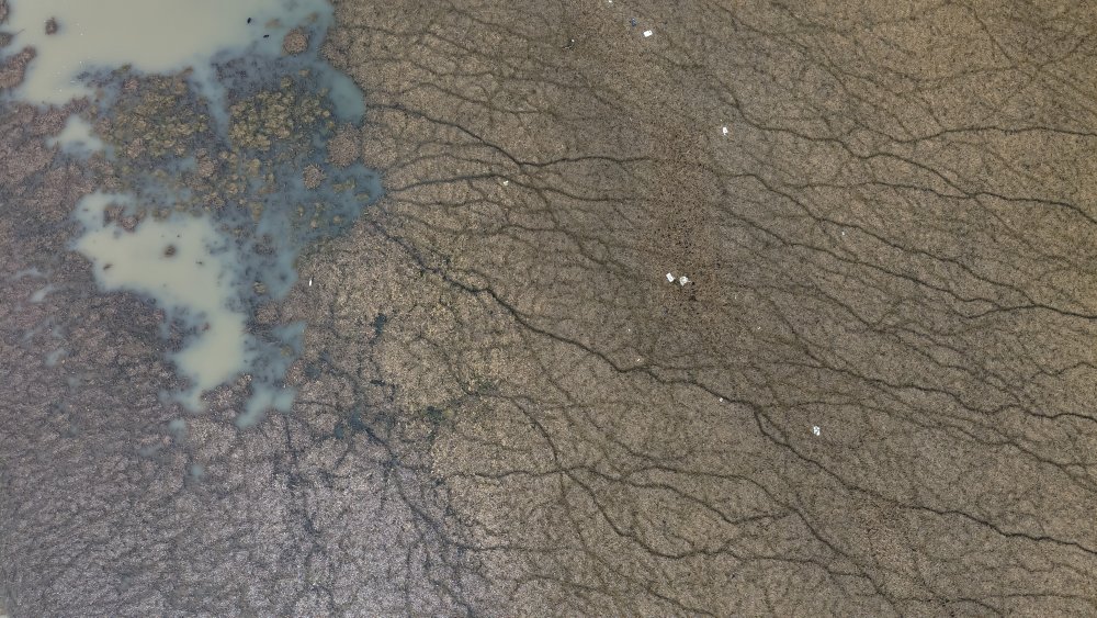 'Beyşehir Gölü vefat etti'