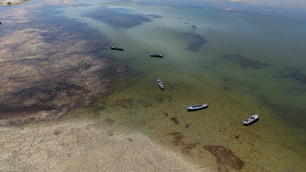 'Beyşehir Gölü vefat etti'