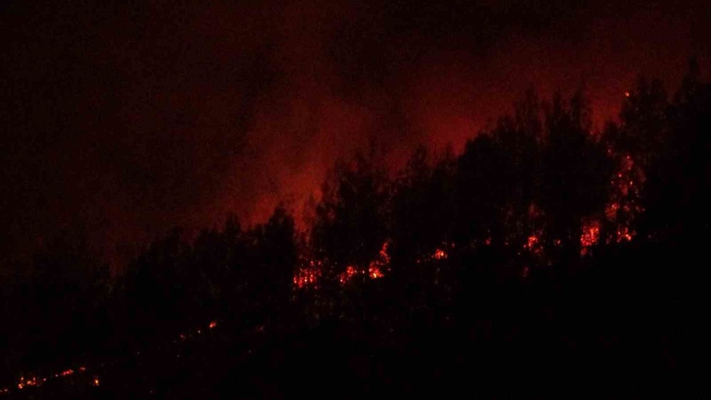 Çanakkale’deki orman yangınına karadan müdahale devam ediyor