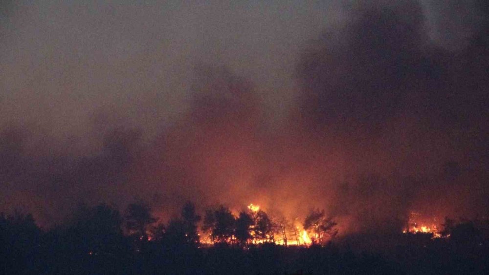 Çanakkale’deki orman yangınına karadan müdahale devam ediyor