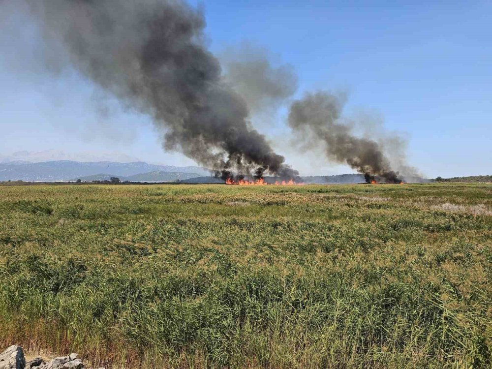 Antalya'dan destek... Konya'daki yangın havadan müdahale ile söndürüldü