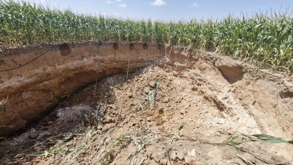 Konya'dan sonra Karaman'da da sayıları artmaya başladı