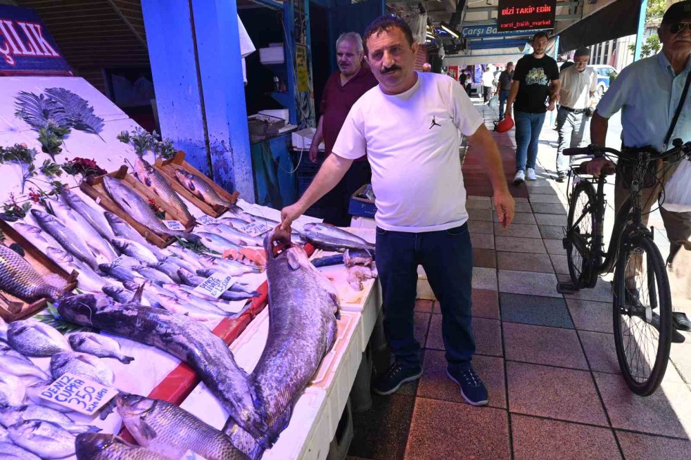 ’Canavar gibi’ diyorlar ama canavar değil!