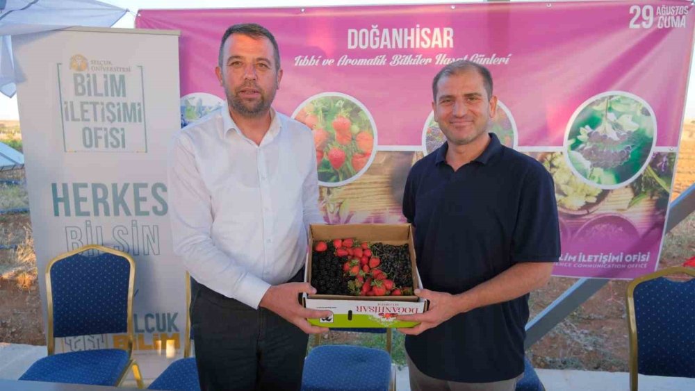 Konya'nın süper meyvesi! Yüksek gelir kazandırıyor