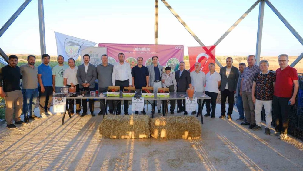 Konya'nın süper meyvesi! Yüksek gelir kazandırıyor