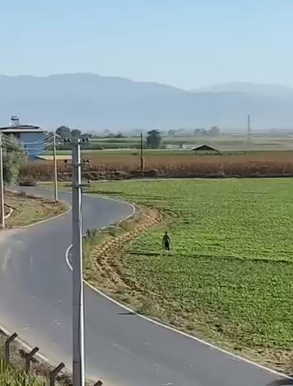 İzmir'de eğitim uçağı düştü