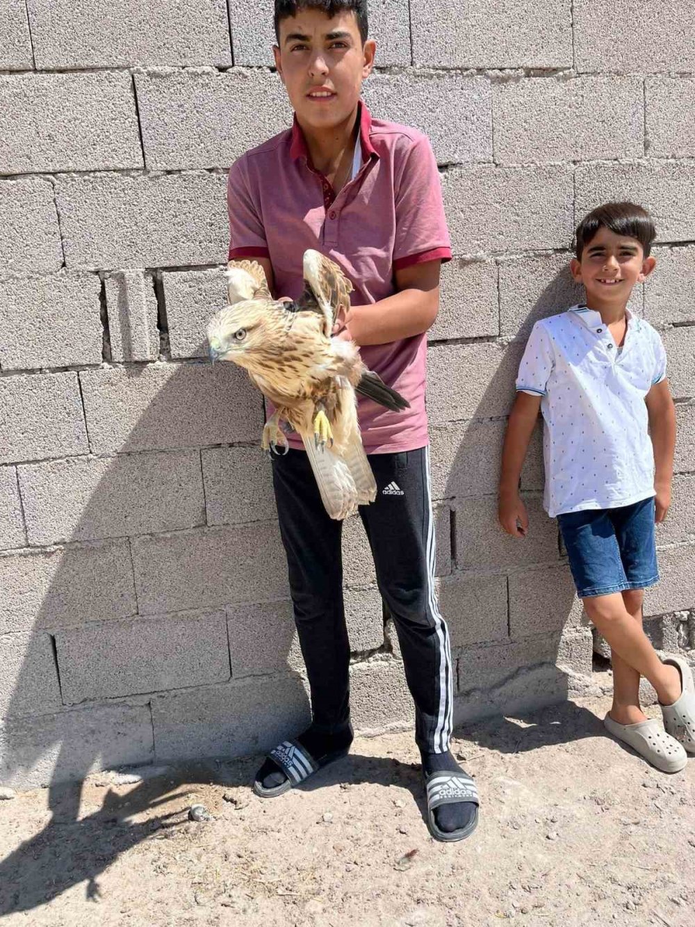 Konya Karapınar’da yaralı halde bulundu