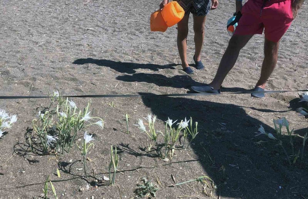 Konyalı çift cezayı duyunca yanından bile geçemedi!