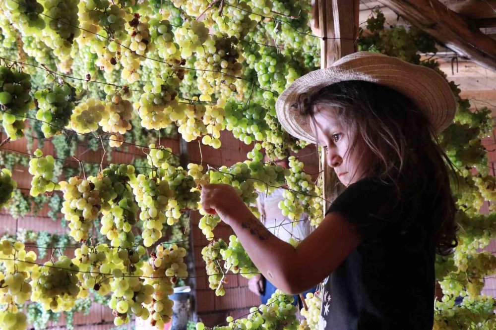 Konya’nın yeşil altını... Rengini güneşten değil, gölgeden alıyor