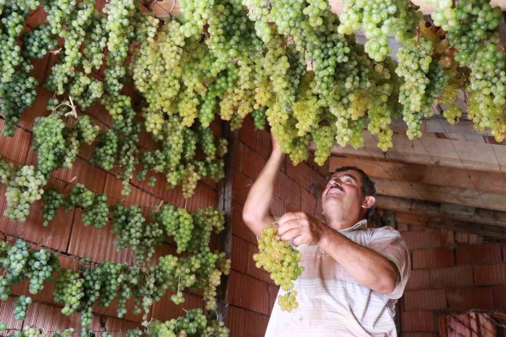 Konya’nın yeşil altını... Rengini güneşten değil, gölgeden alıyor