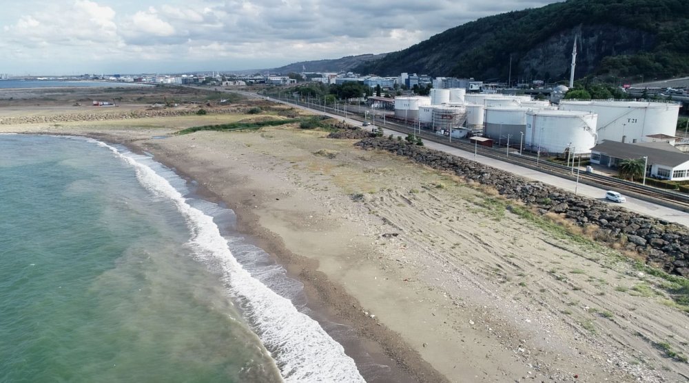 Cesedi 6 ay önce kıyıya vurmuştu; son görüntüleri ortaya çıktı