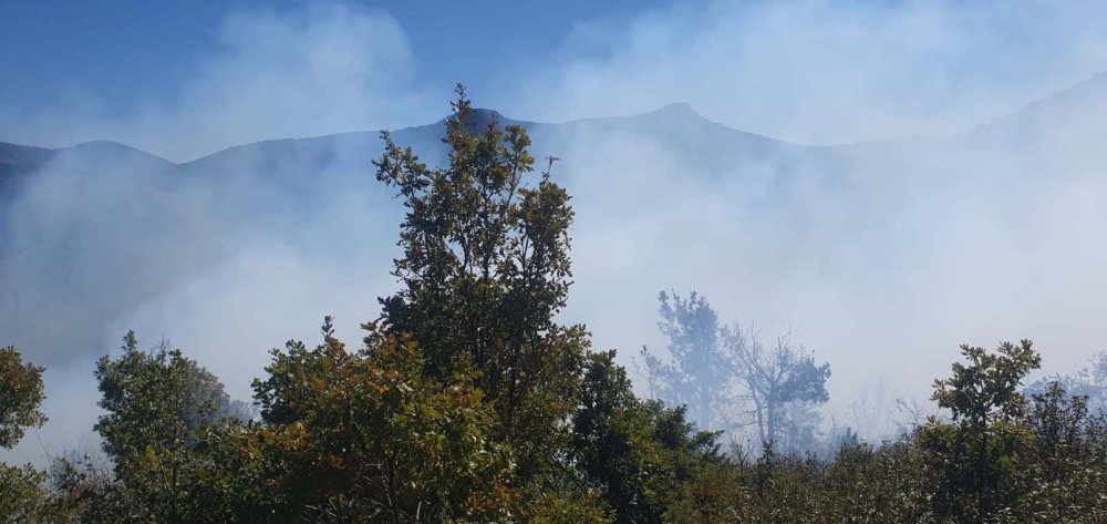 Konya'daki yangını kısa sürede söndürüldü