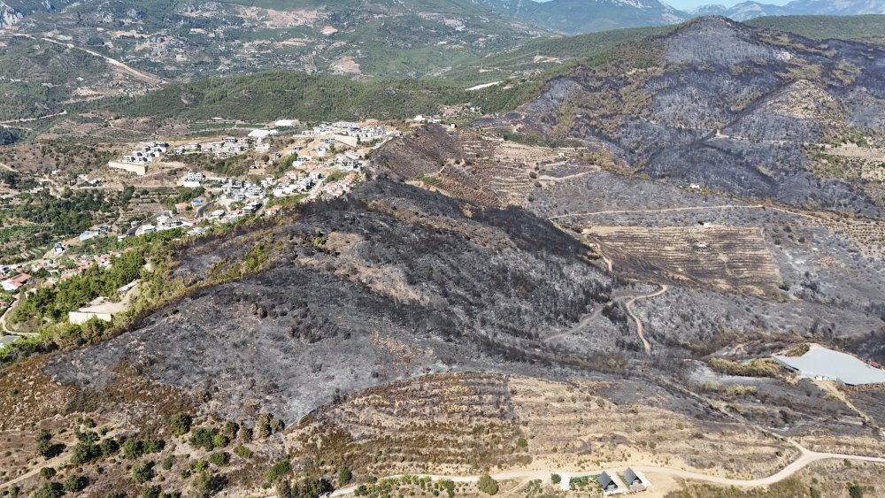 Antalya'daki orman yangınlarında 1350 hektar alan zarar gördü