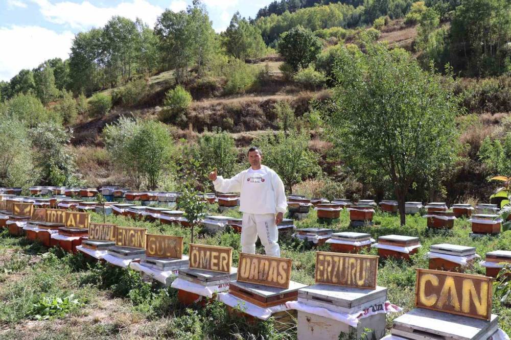 Arılarına yazmayı öğretti