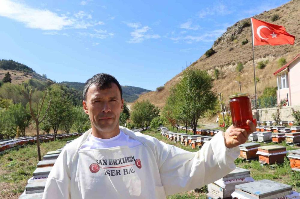 Arılarına yazmayı öğretti