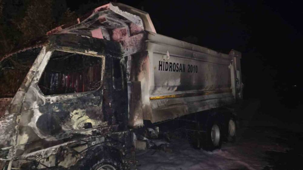 Park halindeki kamyon cayır cayır yandı