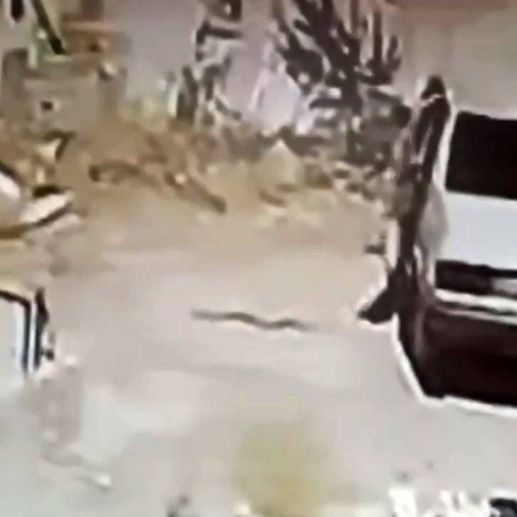 Seyir halindeki araçta yılan paniği! Araçtan atladı