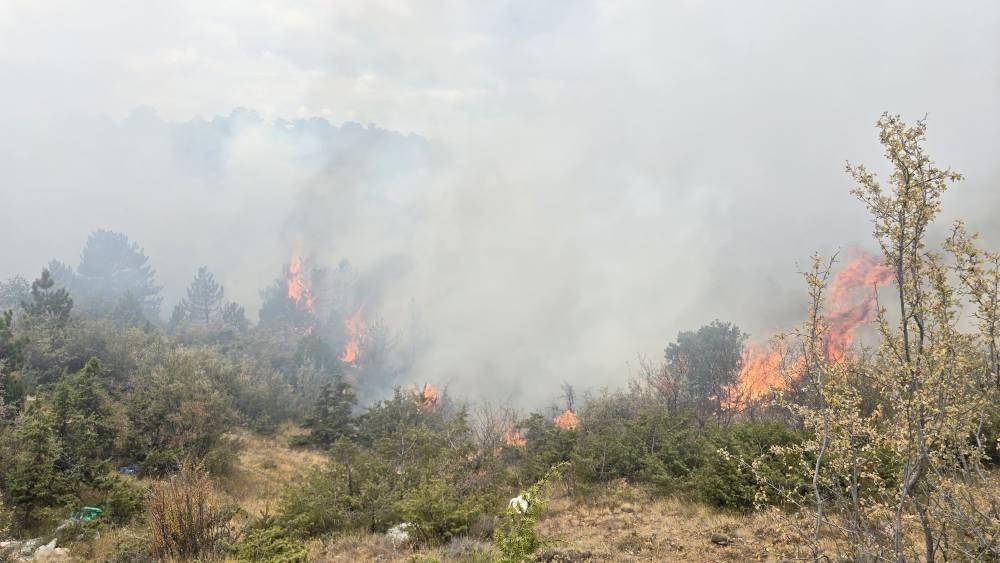 Konya’da ormanlık alanda çıkan yangın söndürüldü