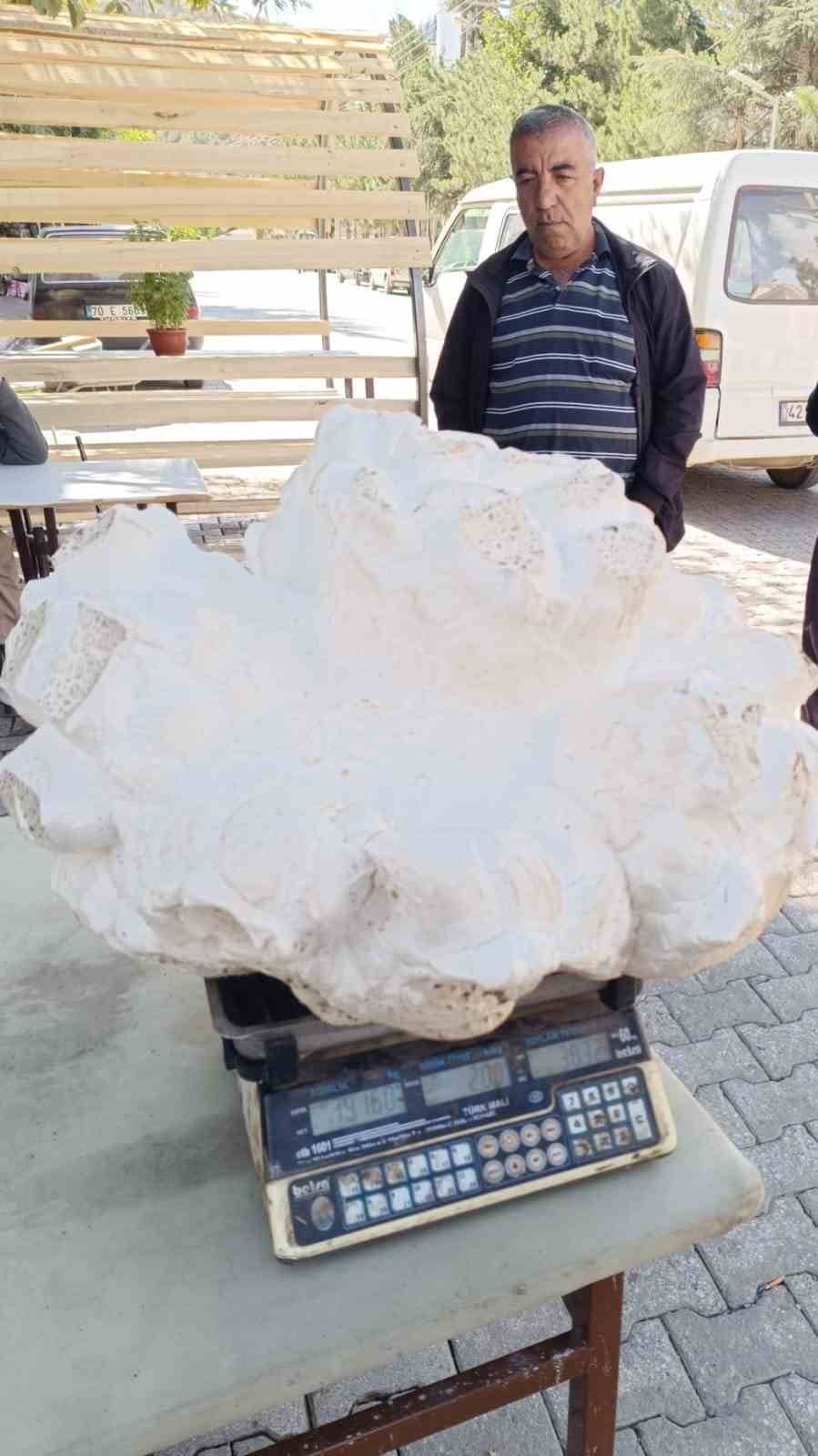 Konya’da bulundu, dev kadar! Köylüler görünce şok oldu: Büyüklüğüne inanamadım