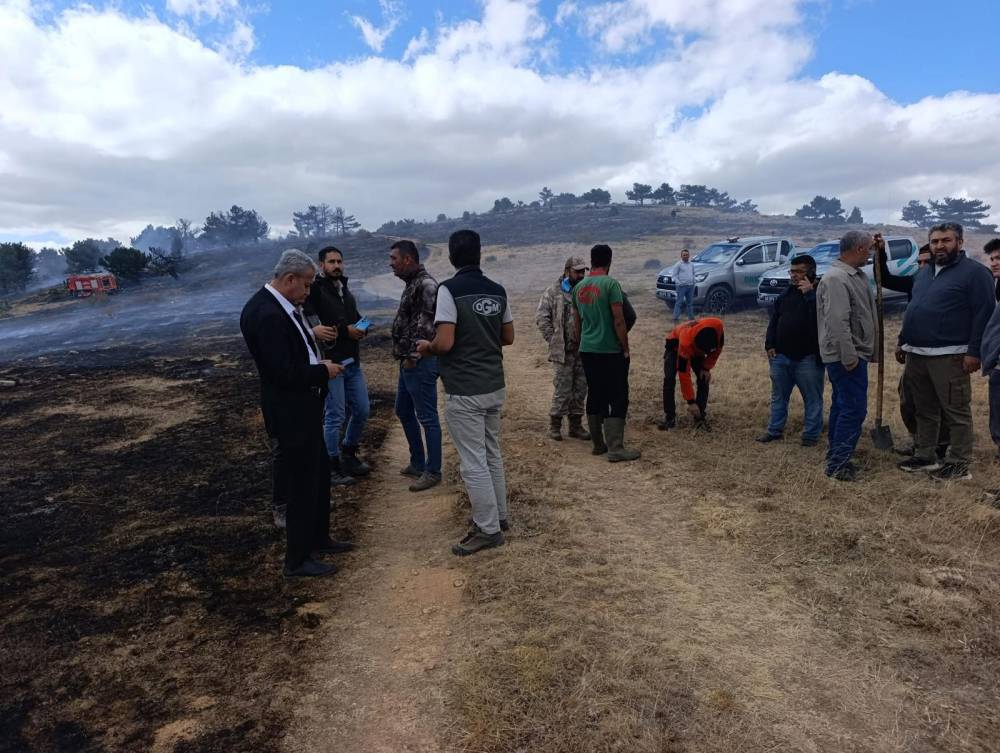 Konya'da meşhur piknik alanında yangın!