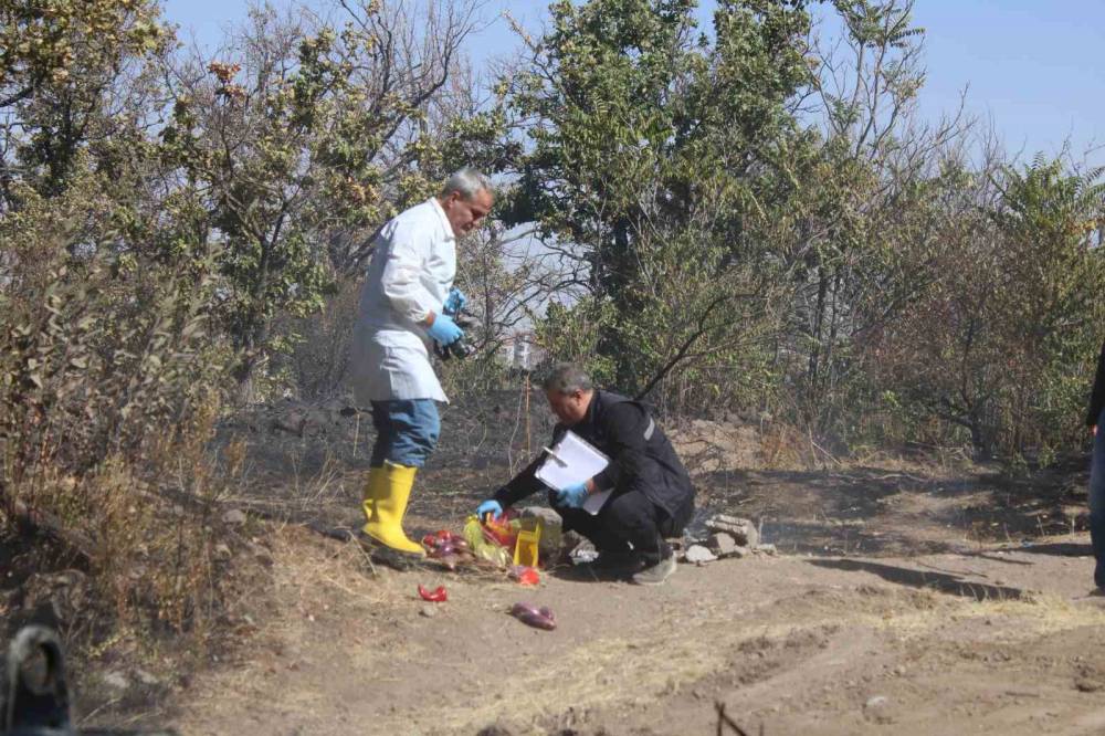 Patlıcan közlerken ormanı yaktılar