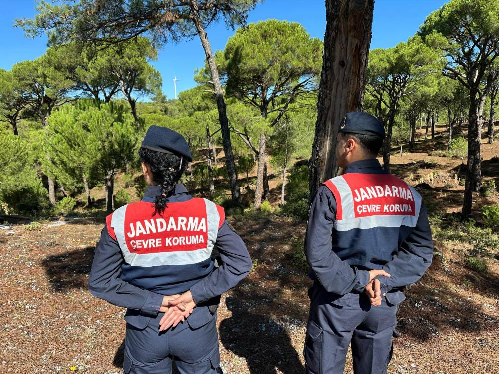 Bu çiçeği koparmak pahalıya patlıyor, 557 bin lira cezası var