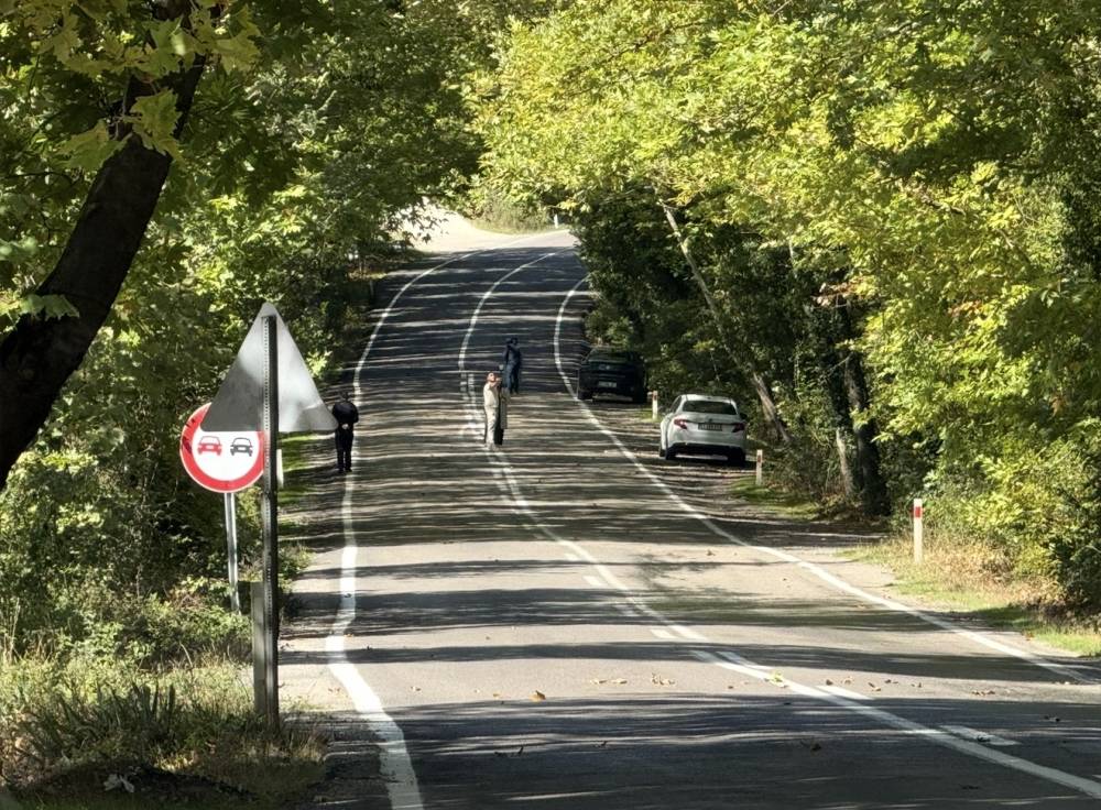 Ağaç tünel yolda görsel şölen!