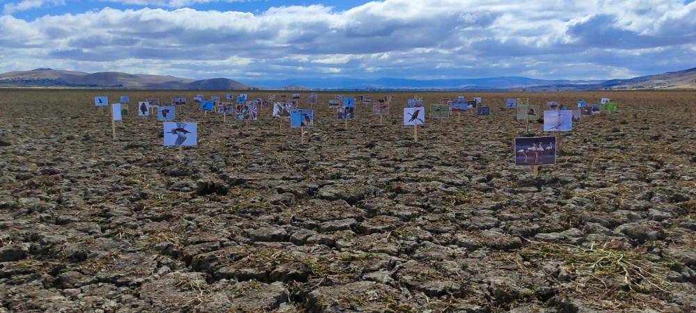 Konya'nın acı tablosunda dikkat çeken hareket