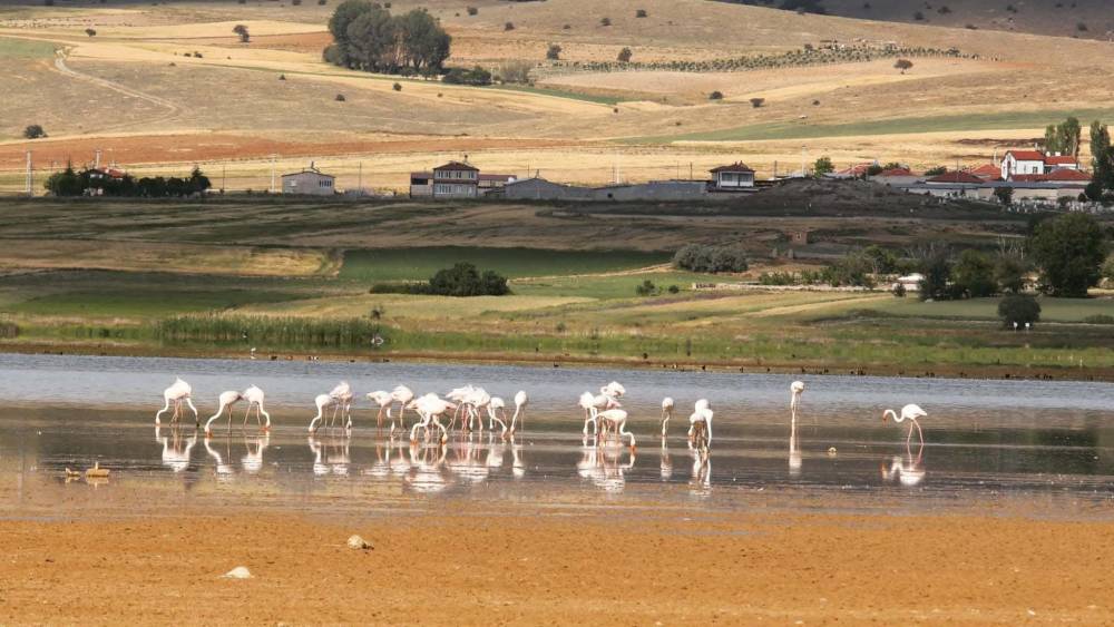 Konya'nın acı tablosunda dikkat çeken hareket