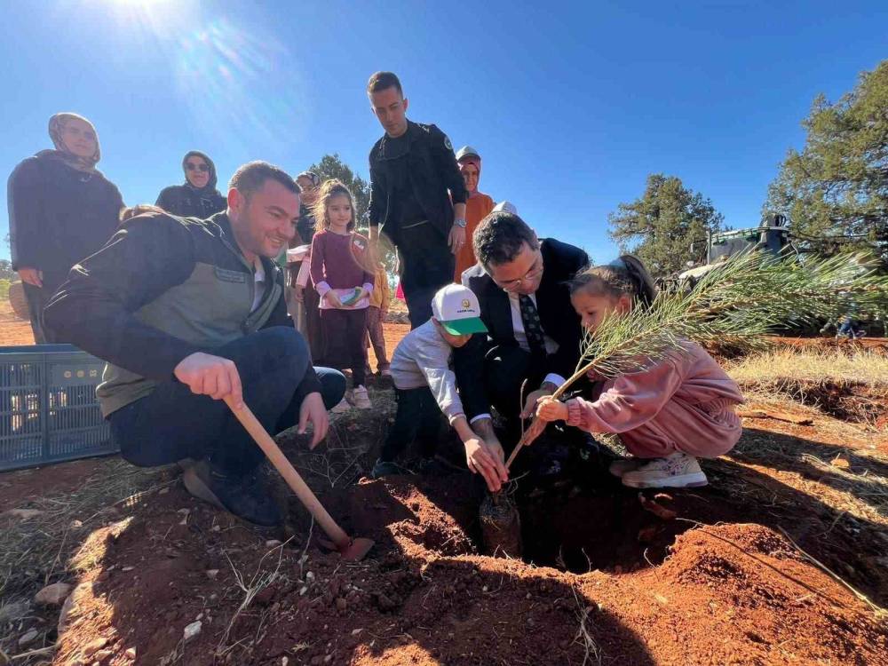 Konya Bozkır’da öğrenciler fidan dikti