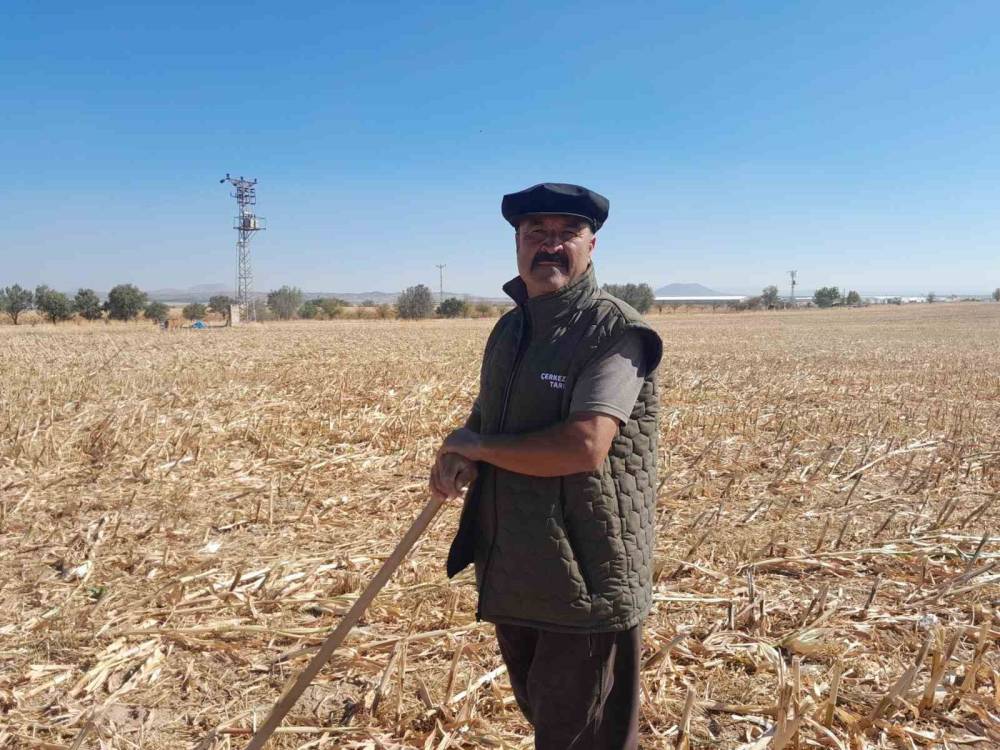 Konya'da otlaktan dönen koyun ve kuzular görsel şölen sundu