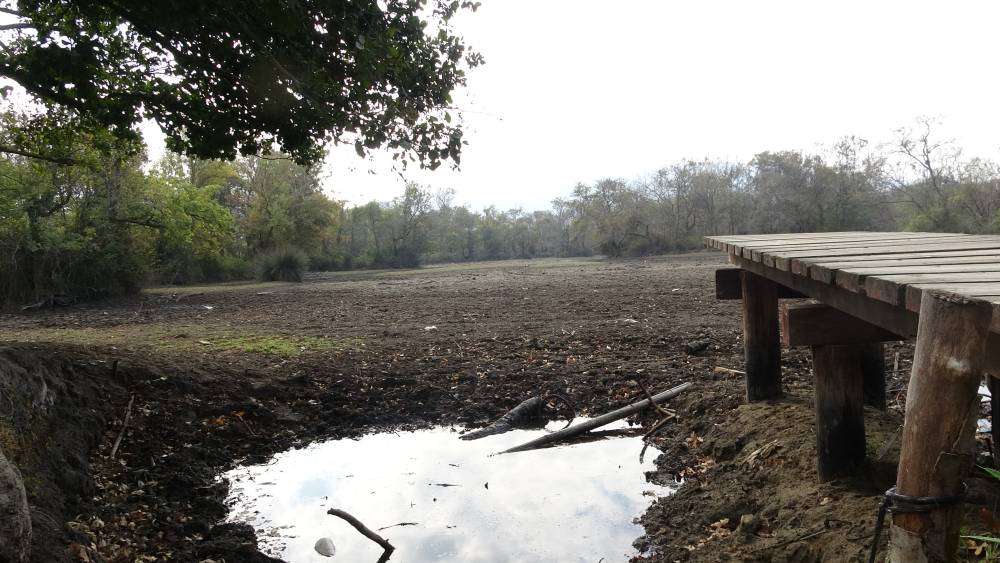Türkiye’nin 3’üncü büyük longozu da kurudu