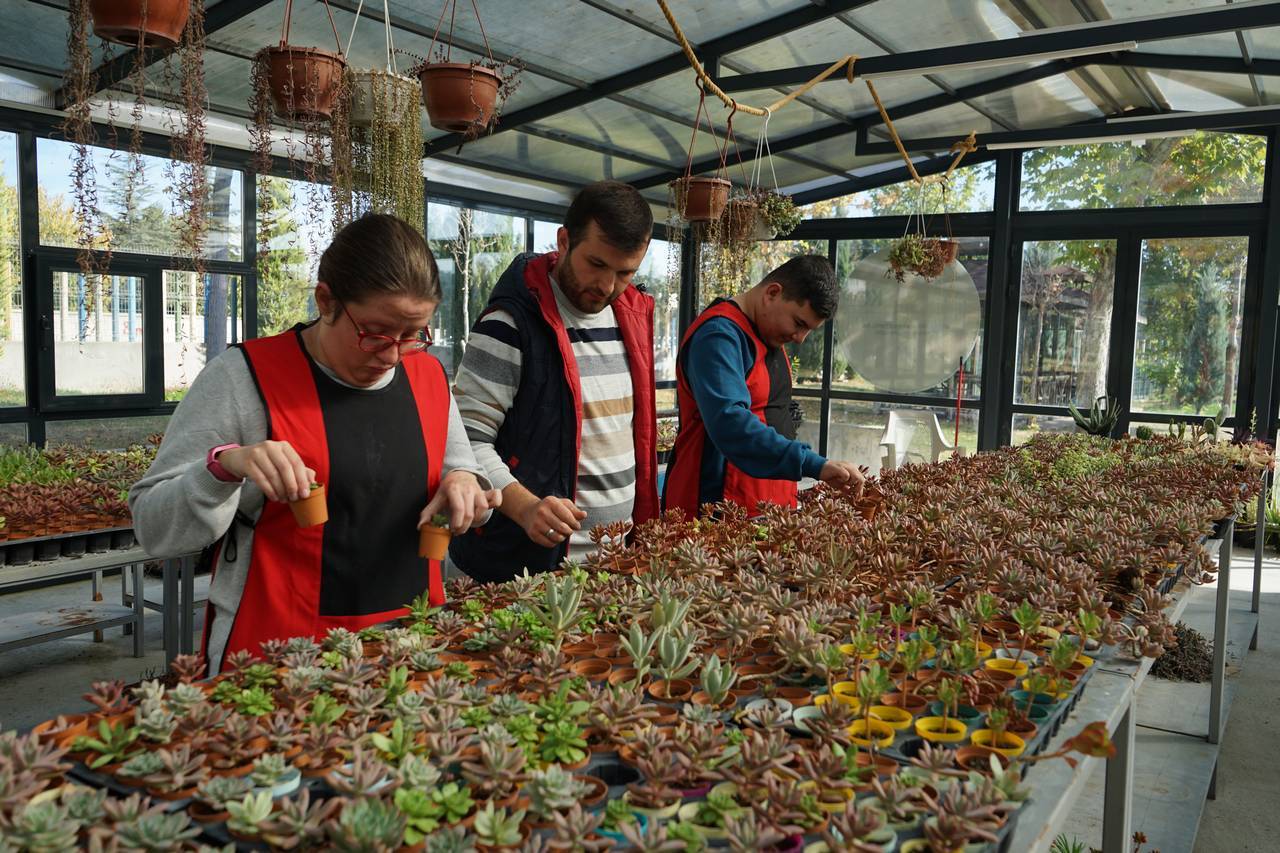 otizmli-ogrencilerden-sevgiyle-yetisen-sukulentler-5.jpg