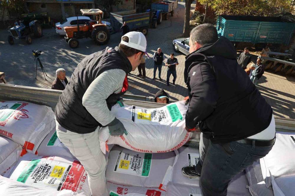 Konya Büyükşehir’den çiftçiye kuraklığa dayanıklı mercimek tohumu desteği