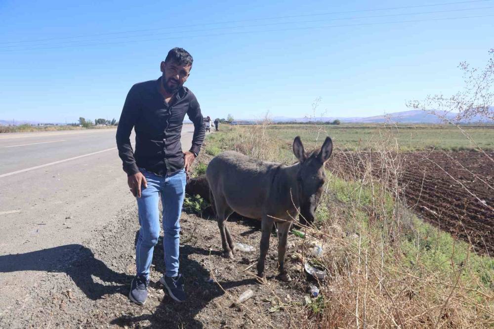 Ölü annesinin başında saatlerce bekledi