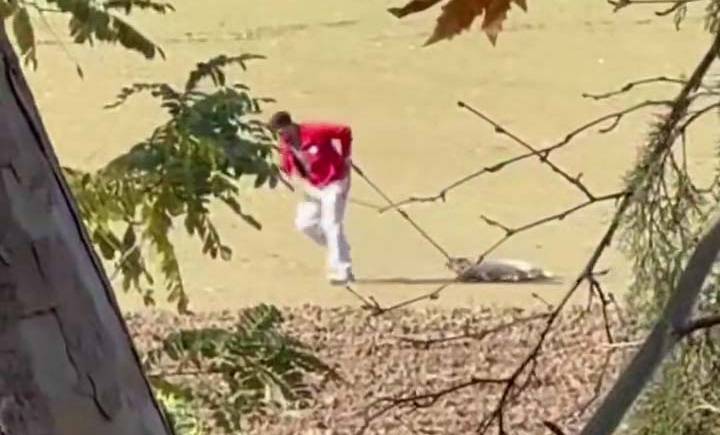 Sokak köpeğini iple sürükleyen belediye personeli adli kontrolle serbest