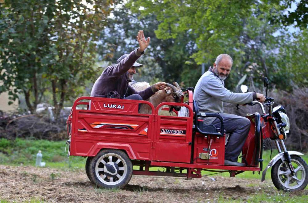 Uçurumdan kurtarılan son keçisine sarılıp doyasıya öptü