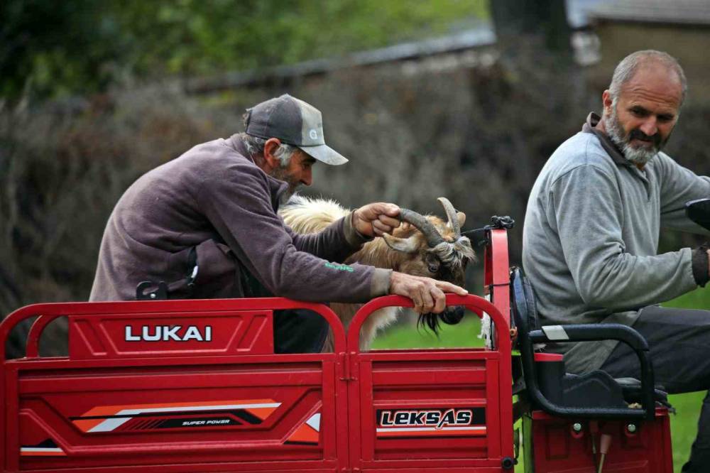 Uçurumdan kurtarılan son keçisine sarılıp doyasıya öptü